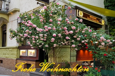 24.12.2023: Die Jazzbar ist am Heiligabend ab 21:00 Uhr geoeffnet